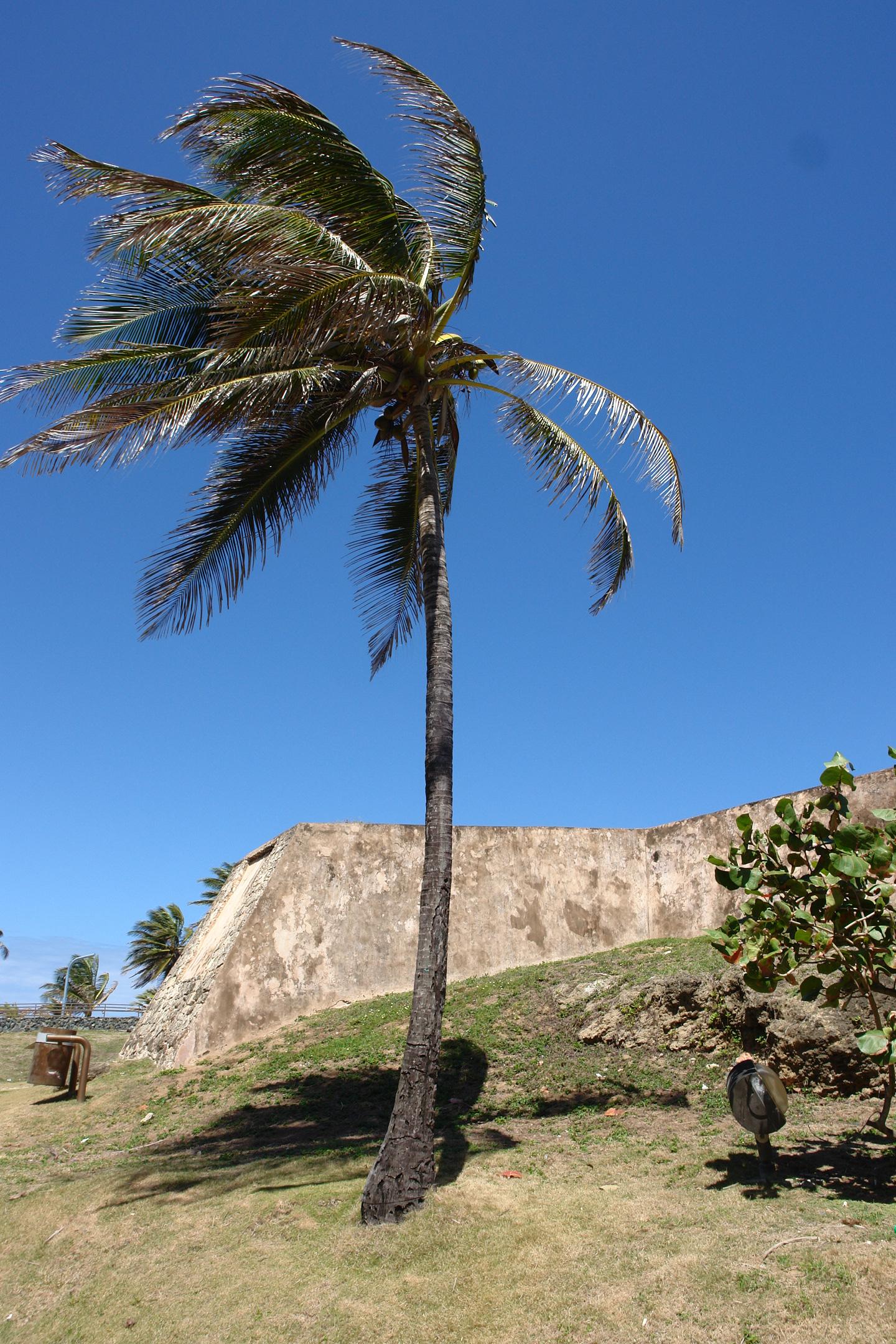 Batería del Escambrón - San Juan (Puerta de Tierra) - 2011 00006